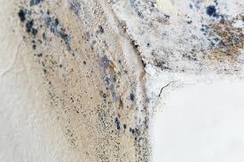 Best Commercial Mold Inspection  in Yankton, SD